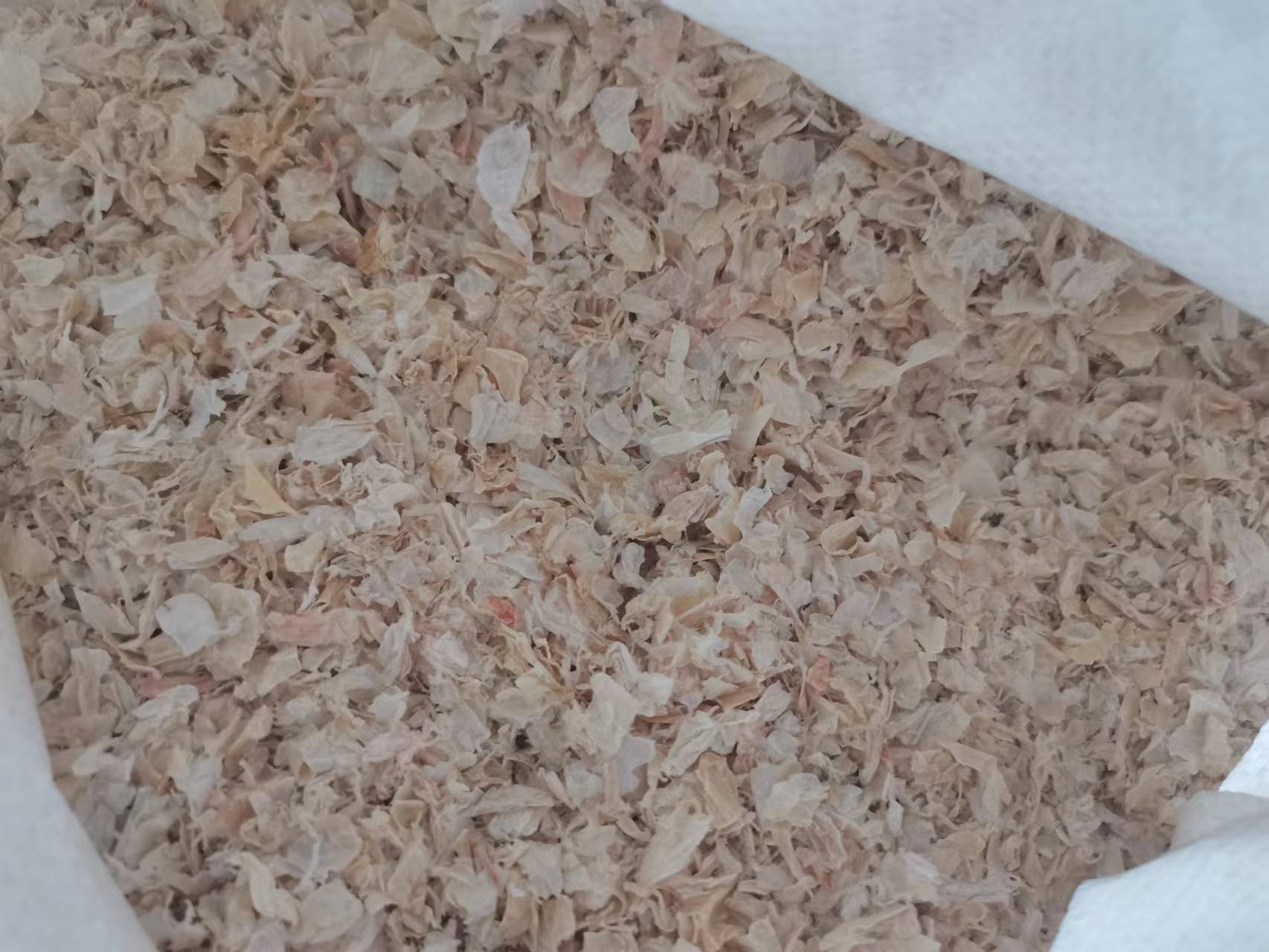 1WIN(股份)有限公司官网